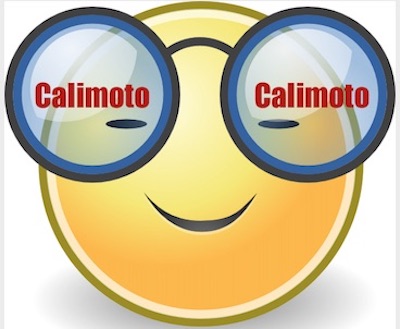 Calimoto Brille.jpg