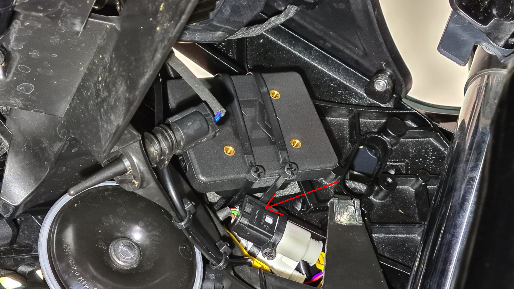 Cartool_Stecker.png