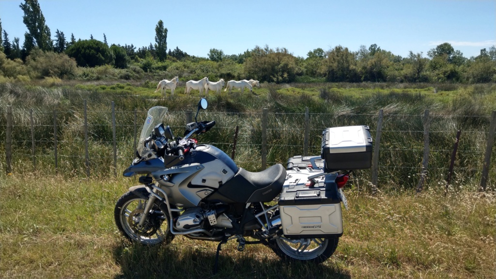 cev18.jpg