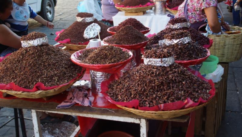 Chiapas 13 (154).jpg
