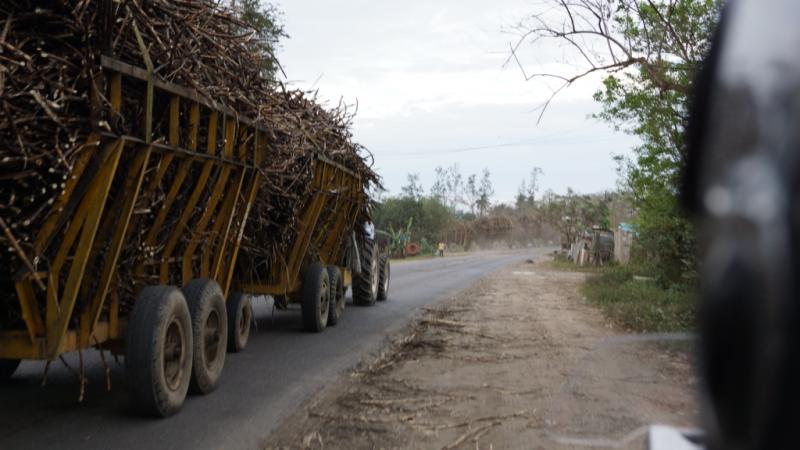 Chiapas 13 (27).jpg