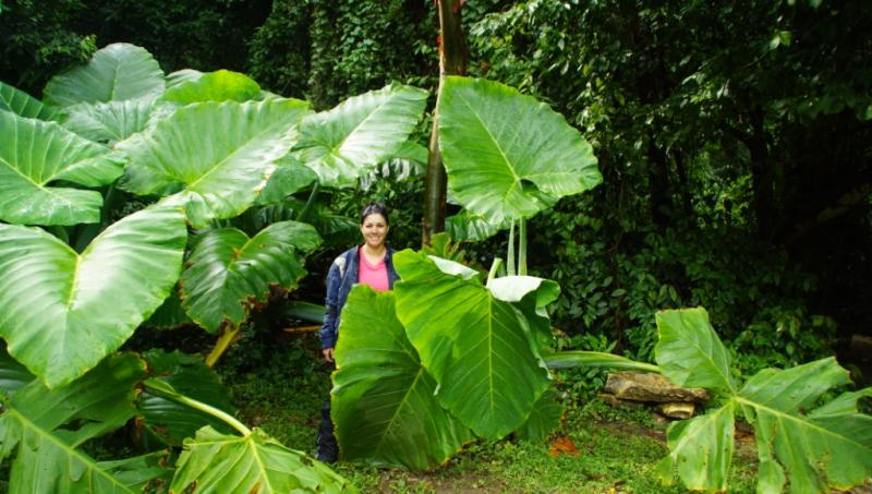 Chiapas 13 (55).jpg