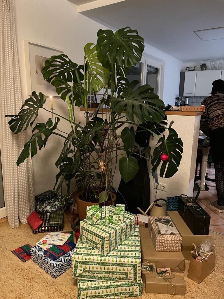 Christbaum 21.jpg