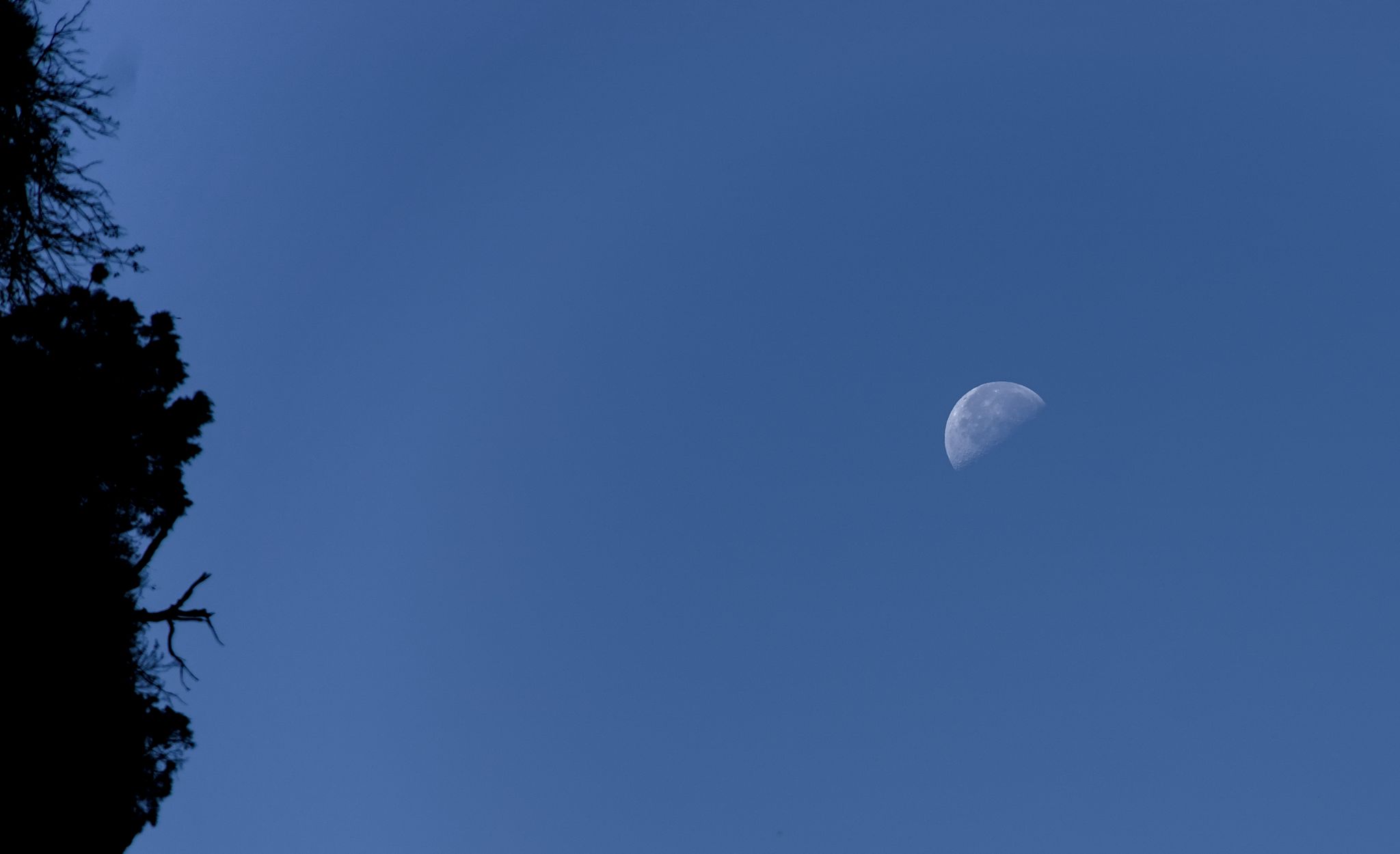 comp_20220917_0012.jpg