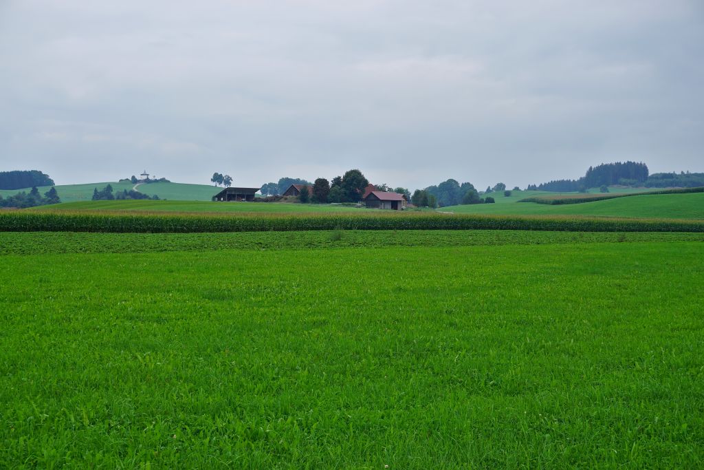 comp_DSC00282_dt.jpg