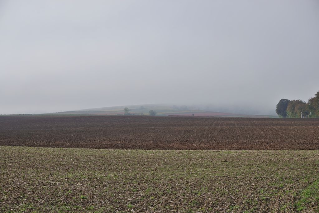 comp_DSC00436_dt.jpg