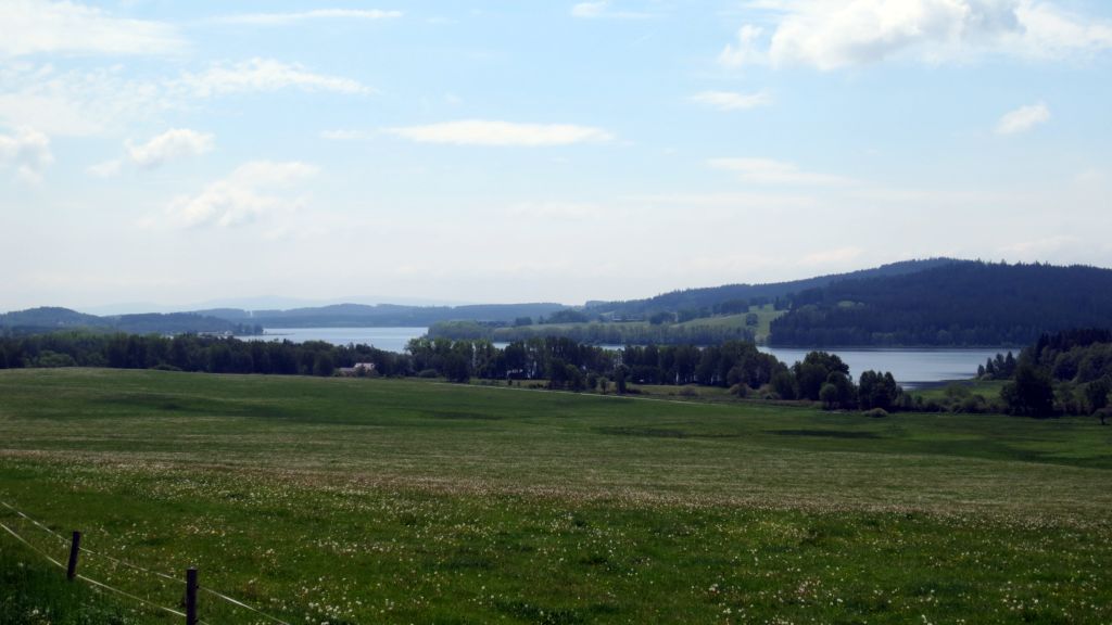 comp_IMG_7087.JPG