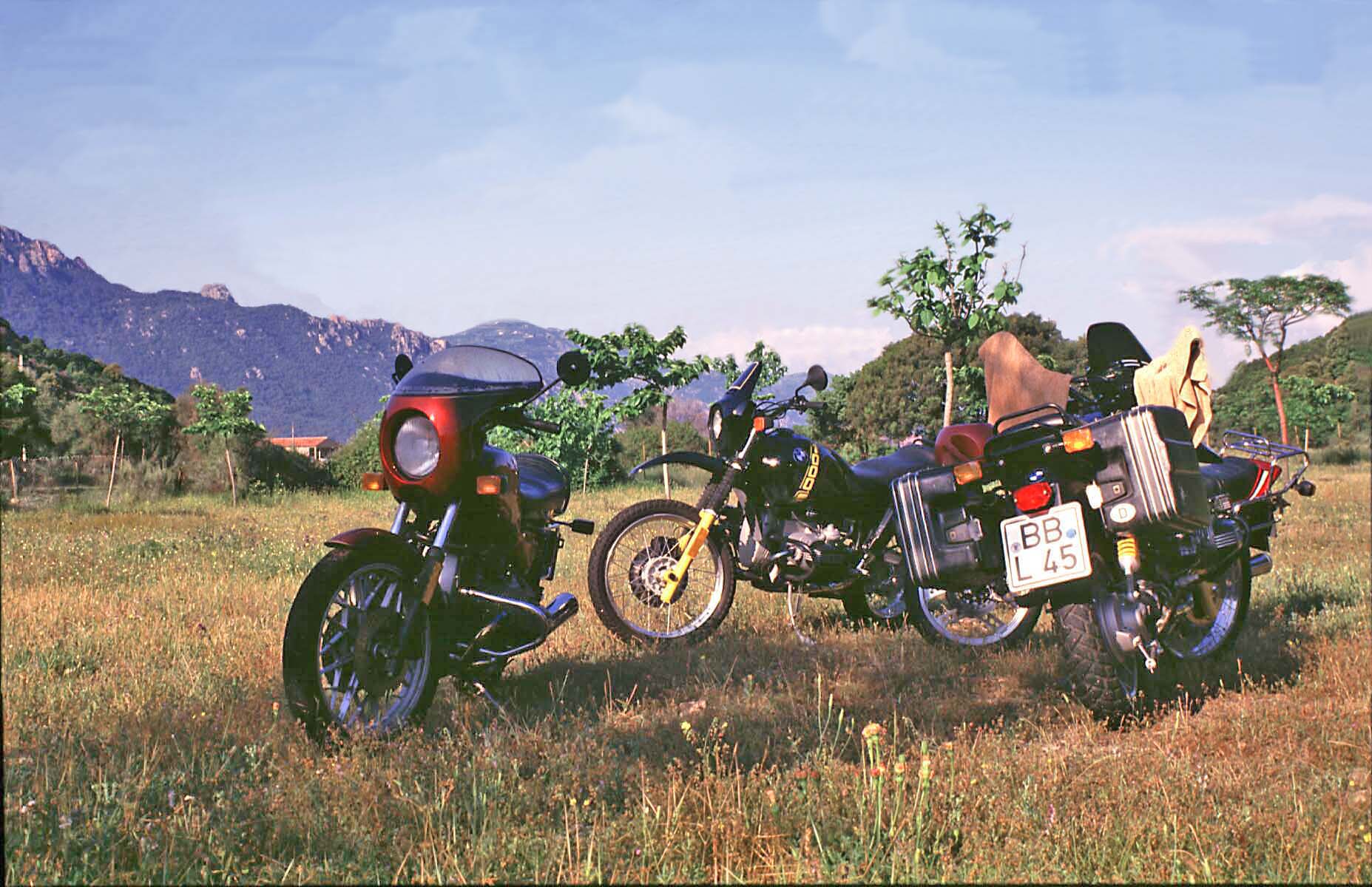 cors-d36_1988.jpg