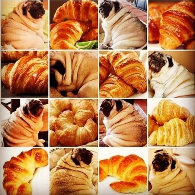 croisssoooo.jpg