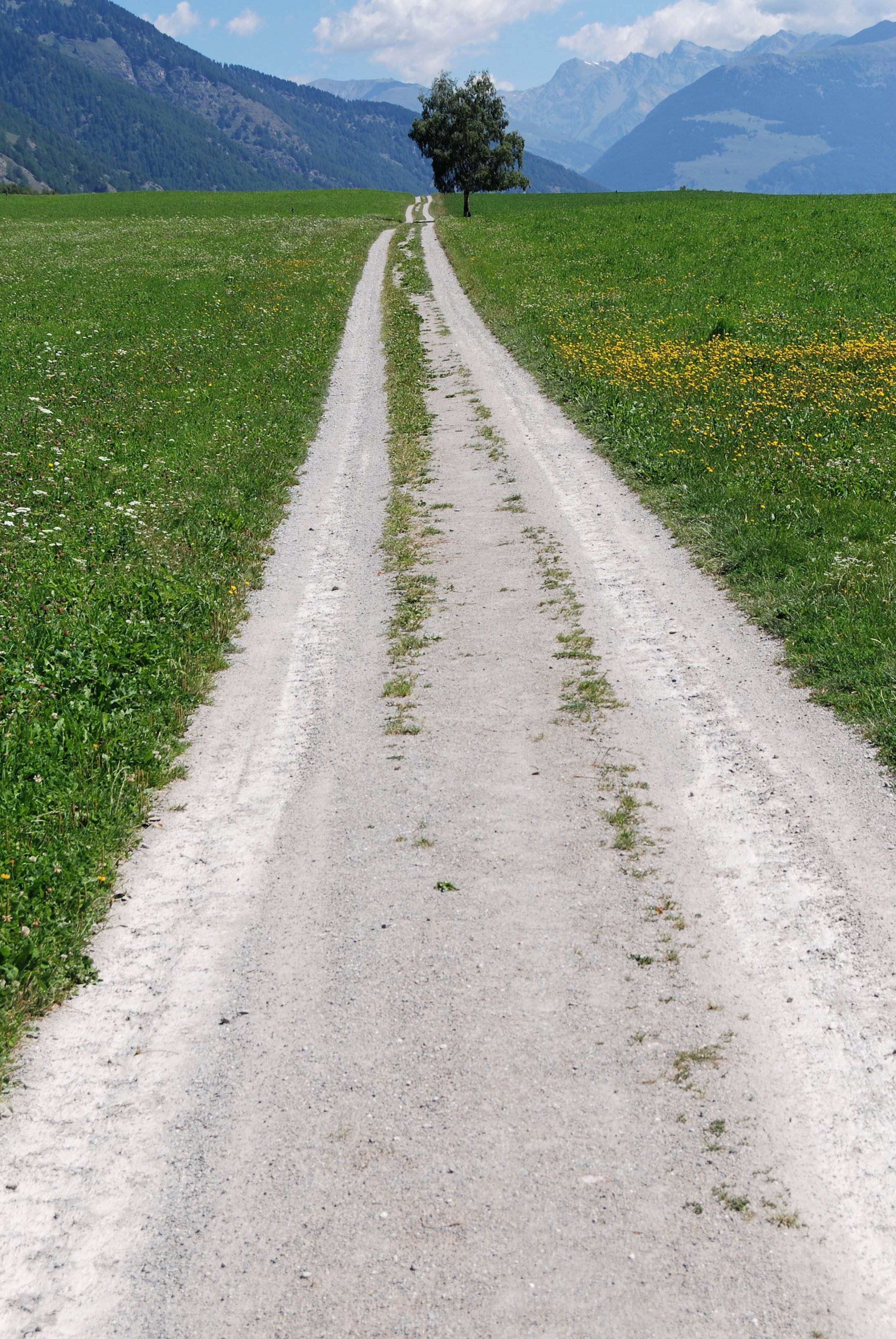 D80_05604_ou100.jpg