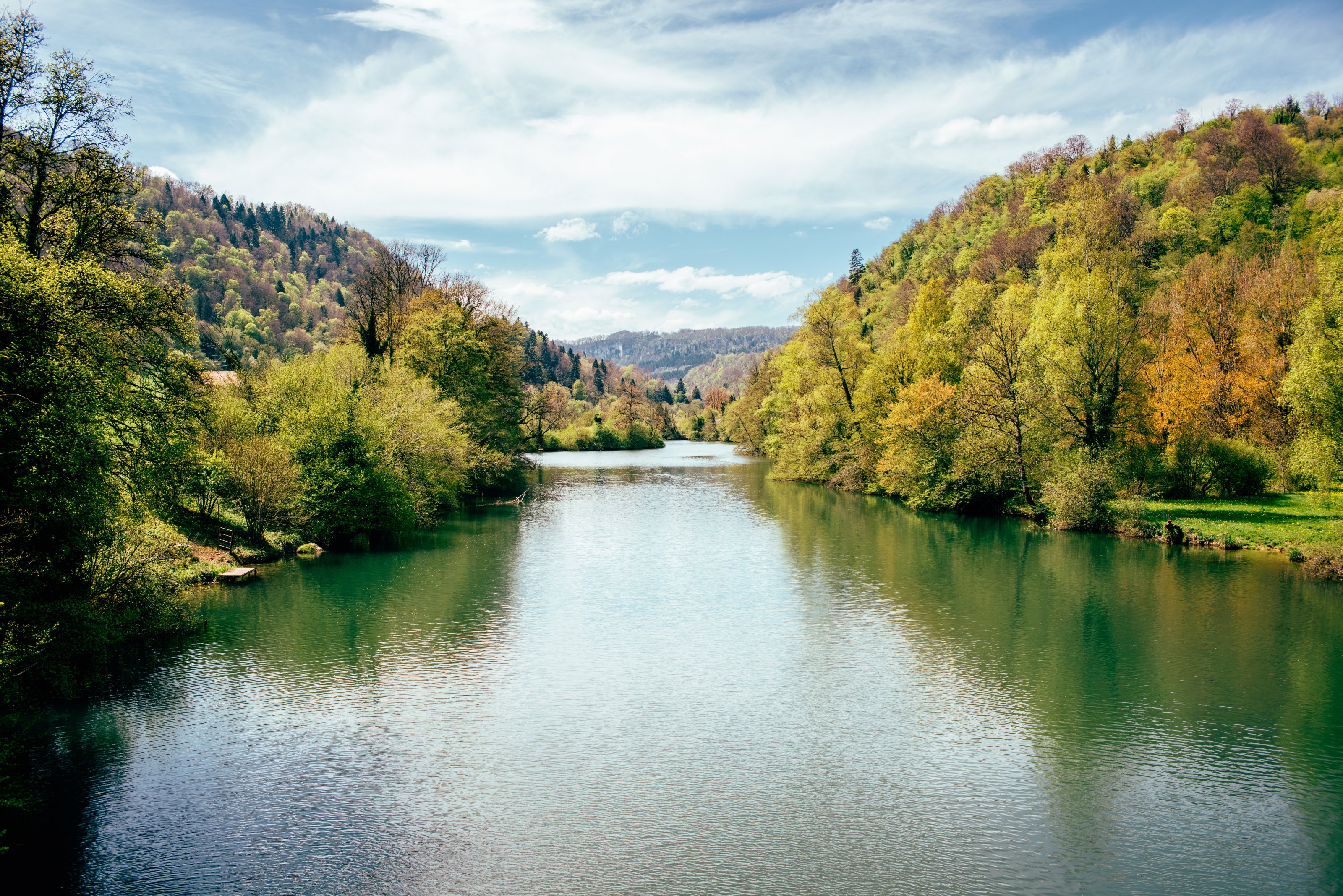 D80_3871-Verbessert-RR.jpeg