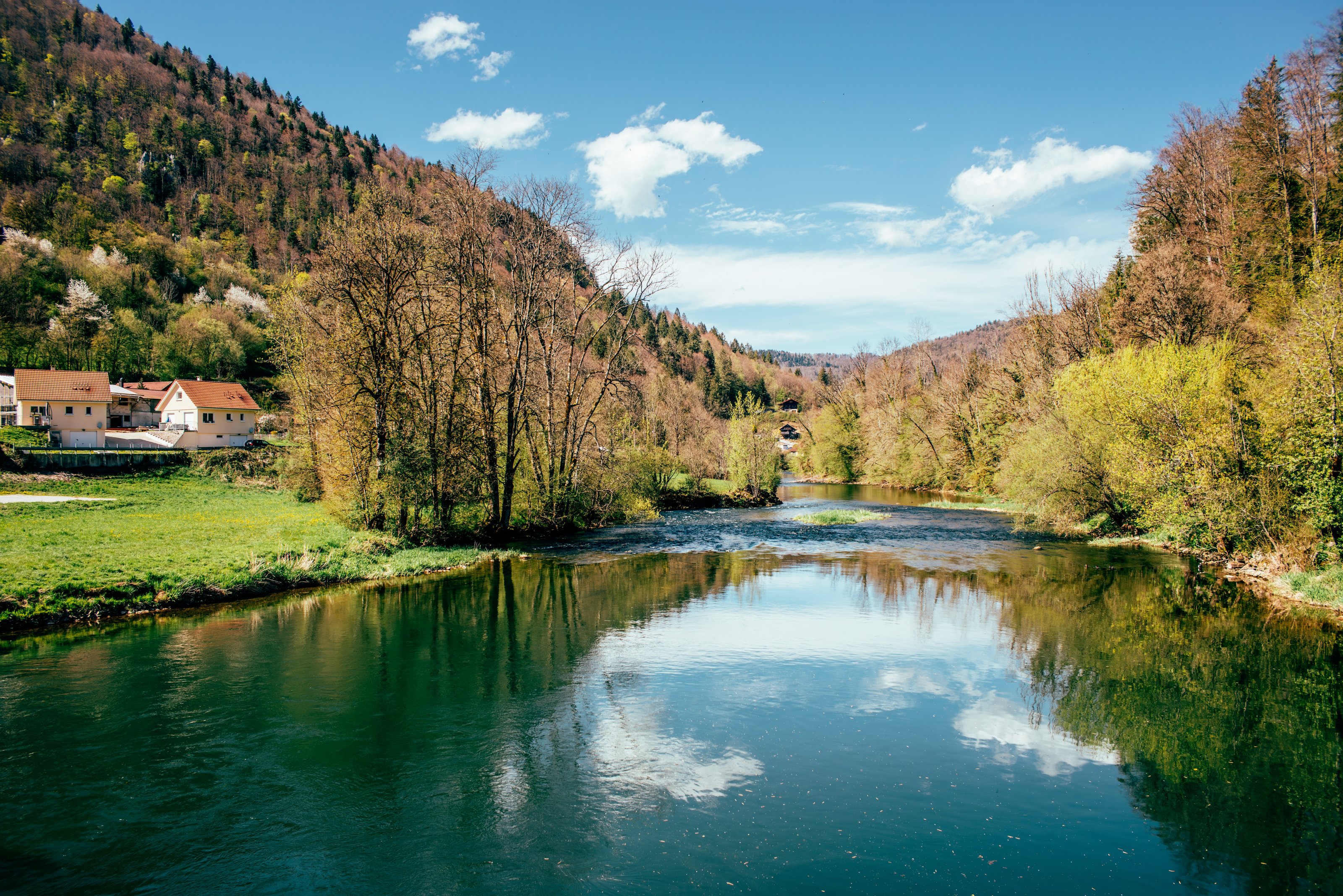 D80_3877-Verbessert-RR.jpeg