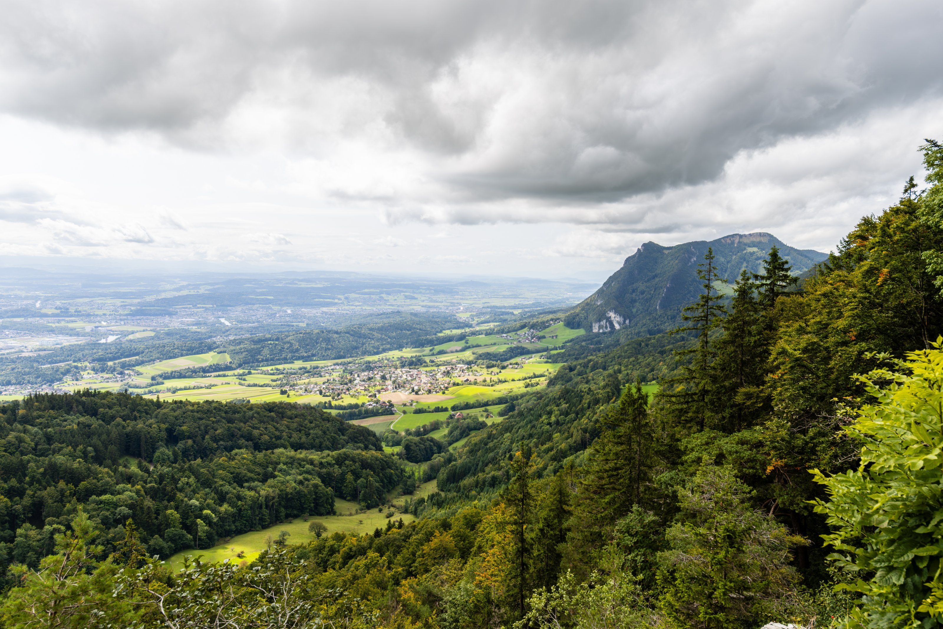 D80_3890.jpg