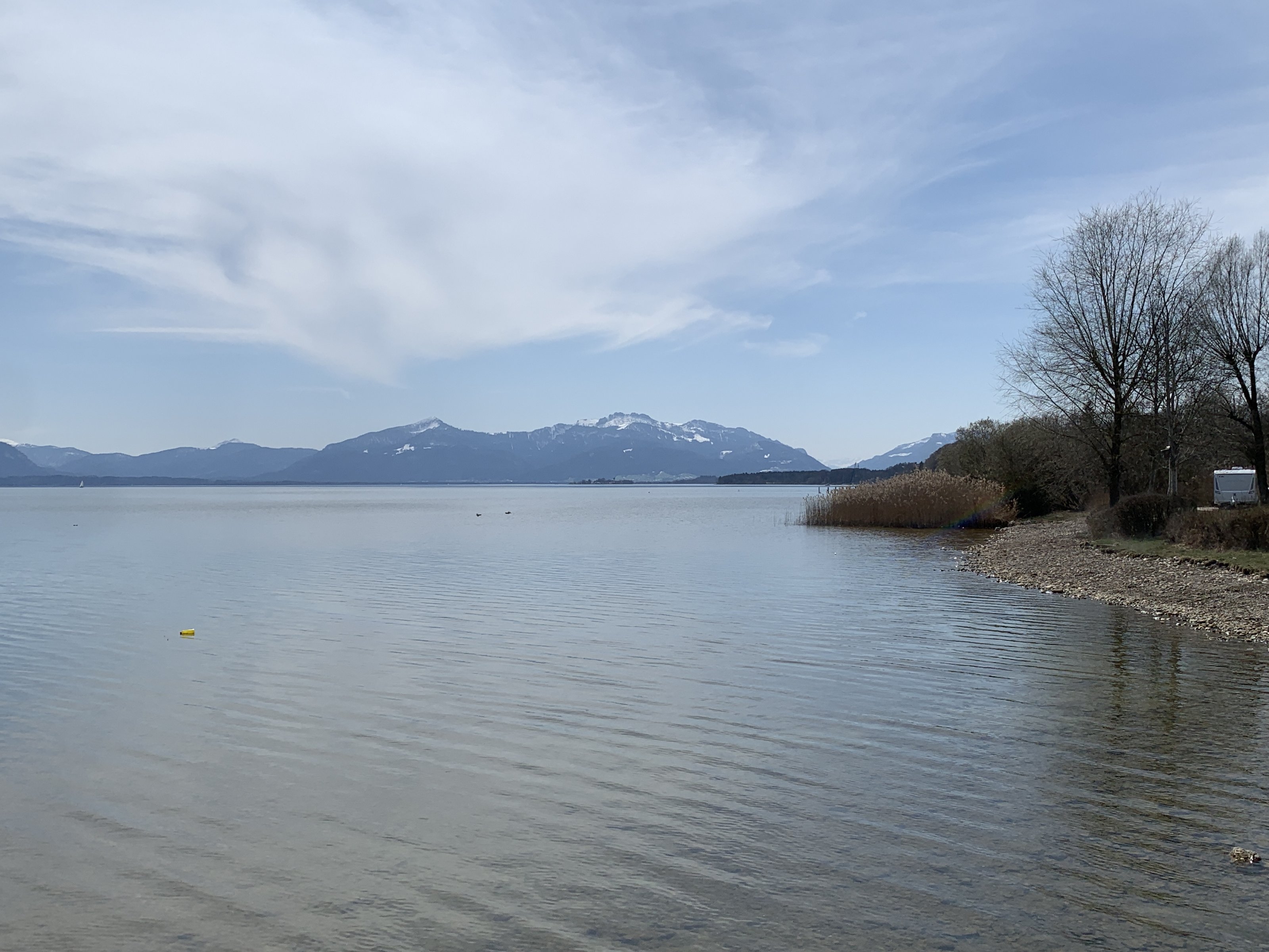 D8E84924-3BB6-49AD-9A5E-2C81CE0505EF.jpeg