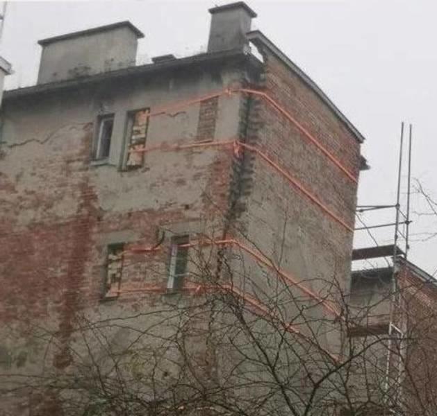 dashaelt_0.jpg