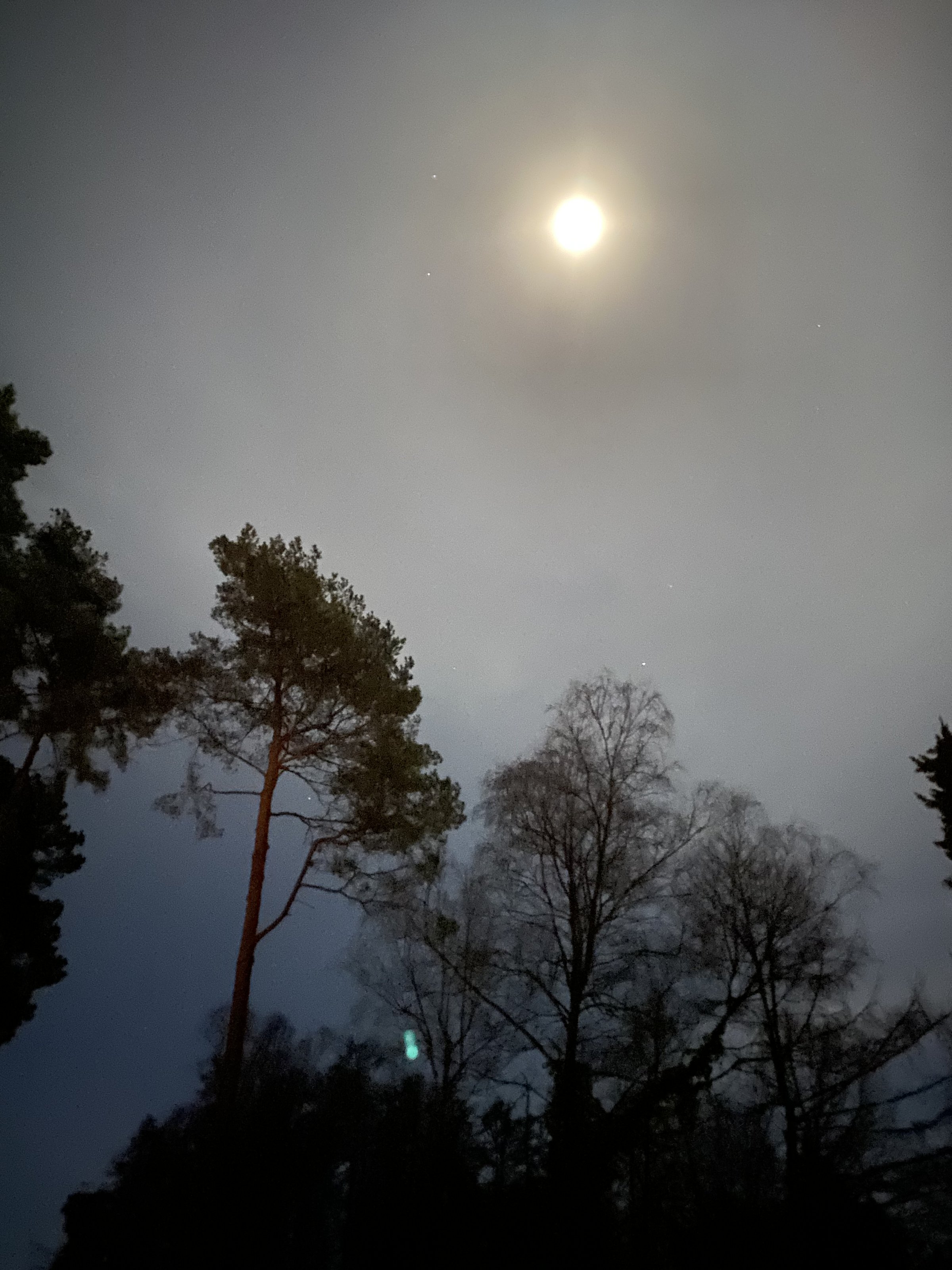 DB2794AD-F51B-42A6-B280-E7C7C739B321.jpeg