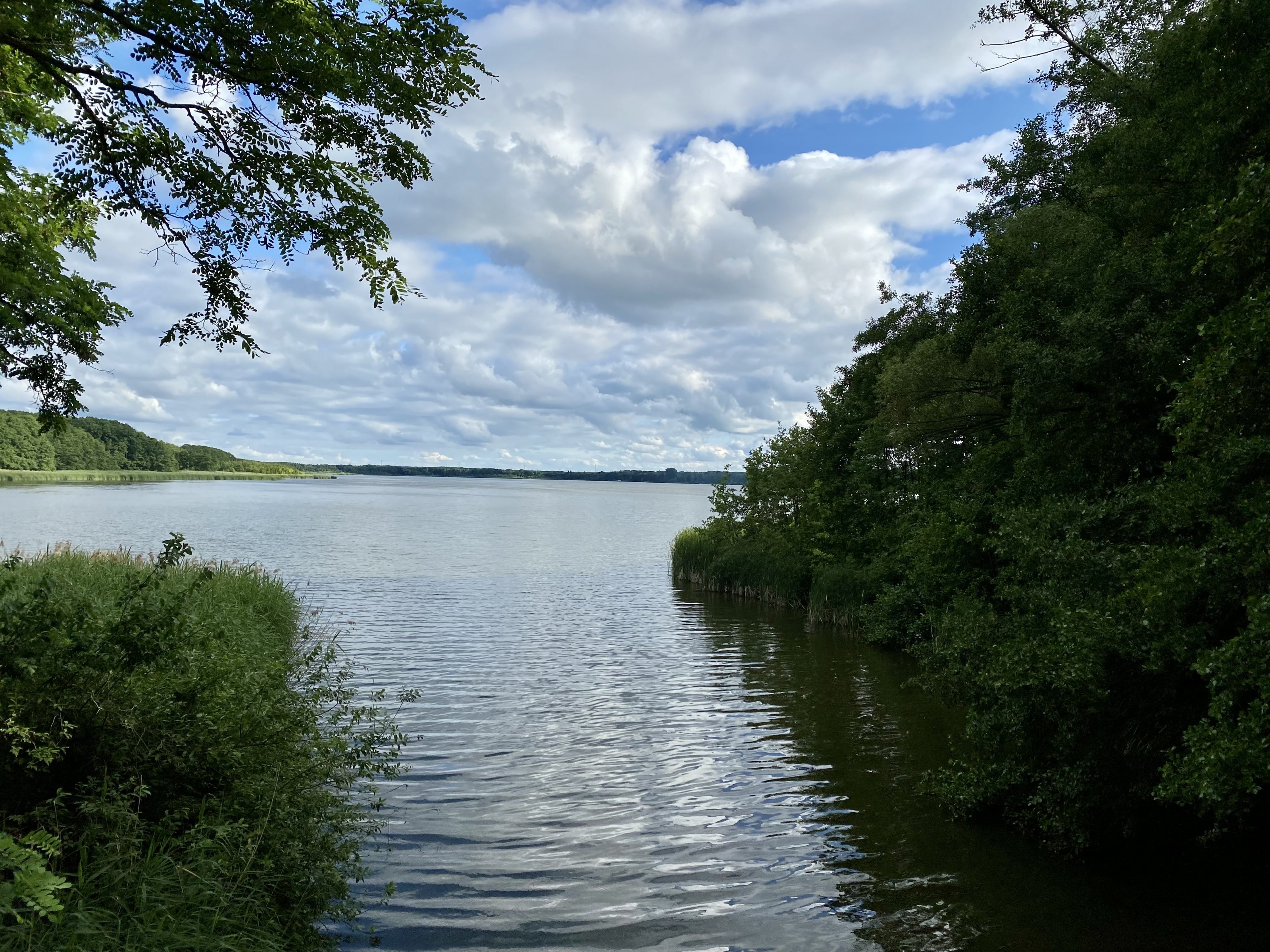 DC143D69-0C22-4659-8440-C1201FCBECBA.jpeg