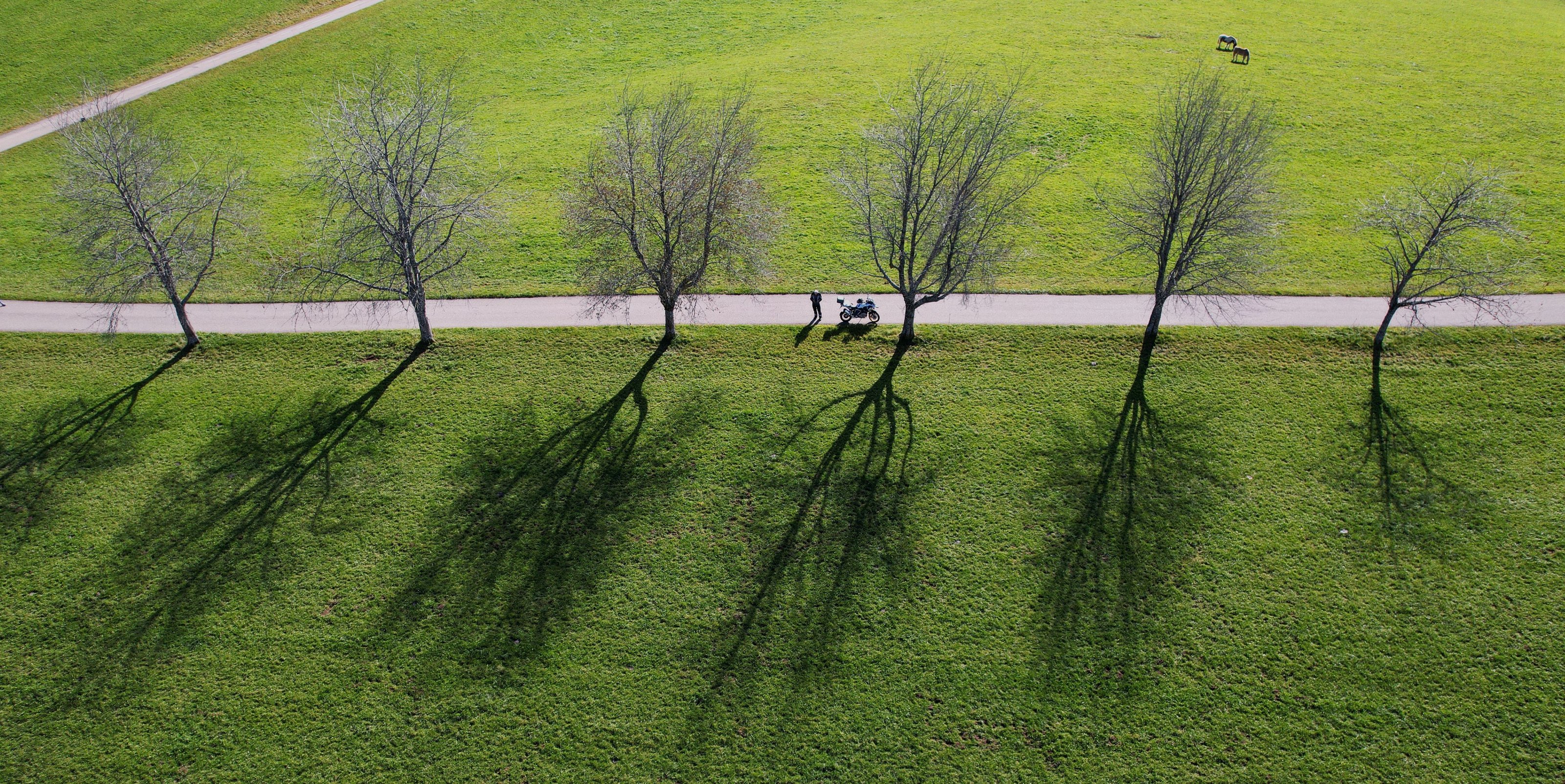 DJI_0324_mod.jpg