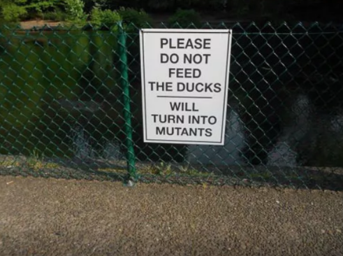 Do not feed the ducks.png