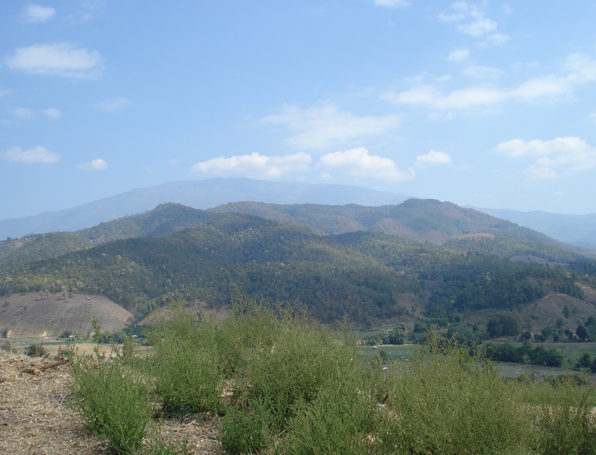 doi01.jpg