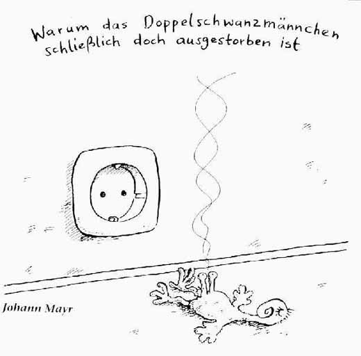 doppel.jpg