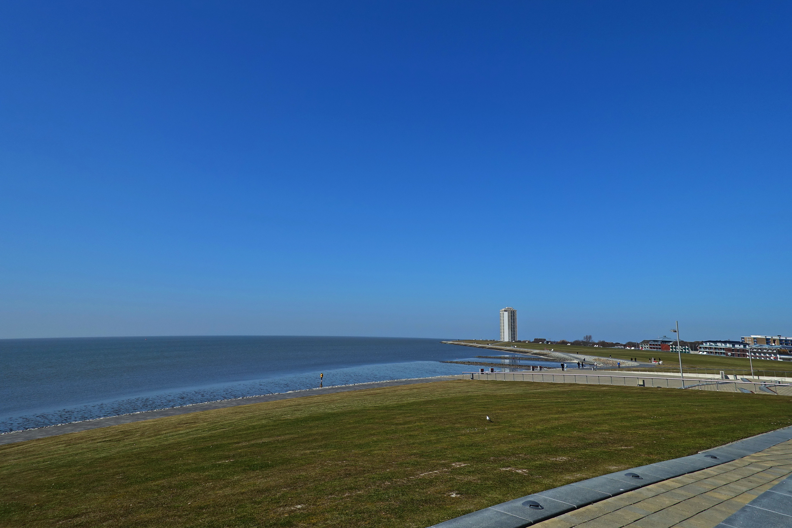 DSC00158.JPG