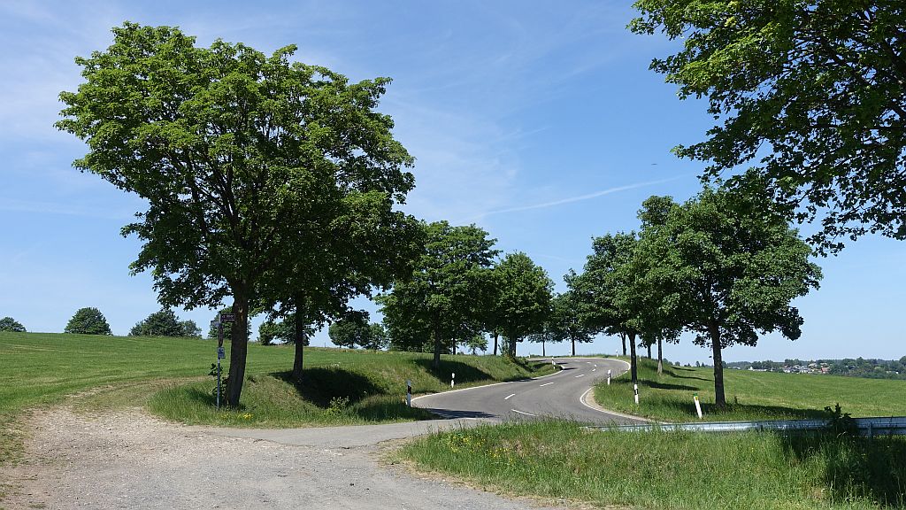 DSC00308.JPG