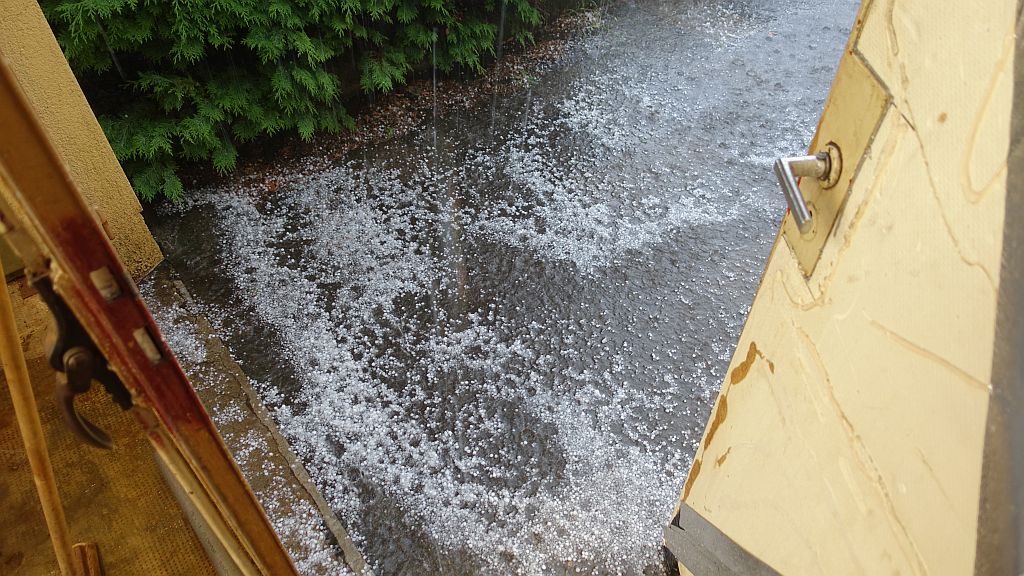 DSC00423.JPG