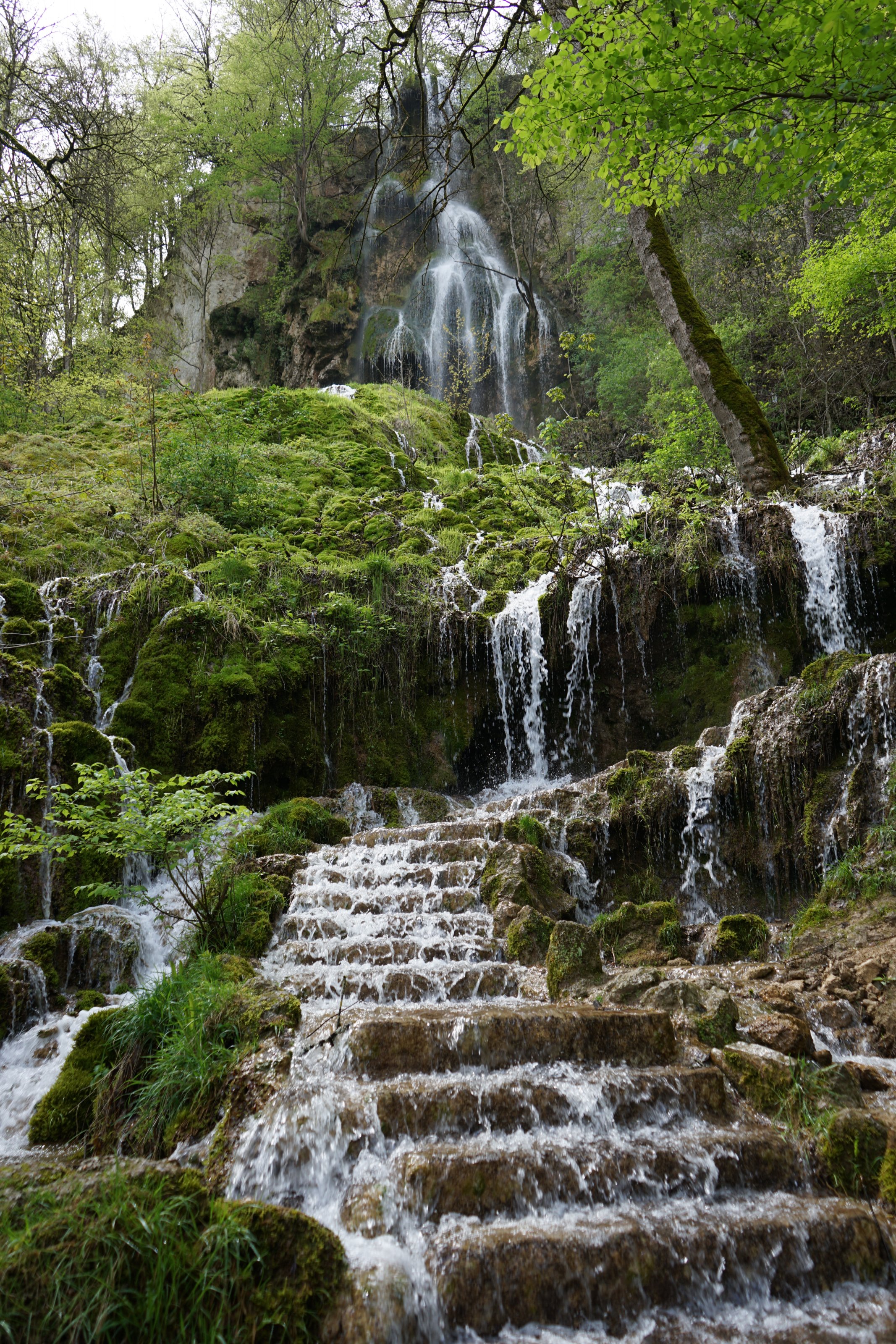 DSC00721.JPG