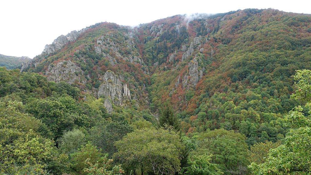 DSC00978.jpg