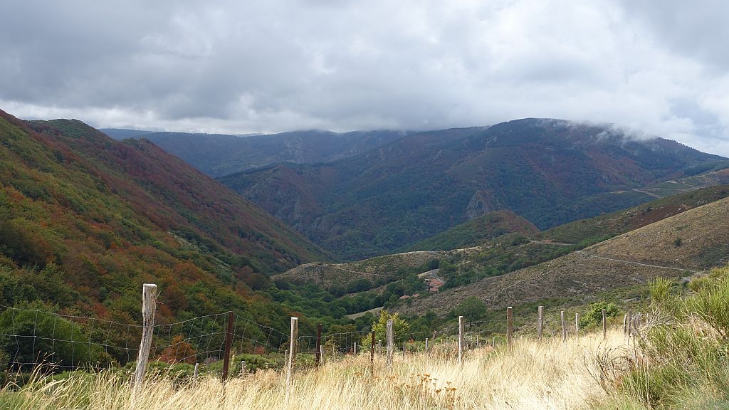 DSC00987.jpg