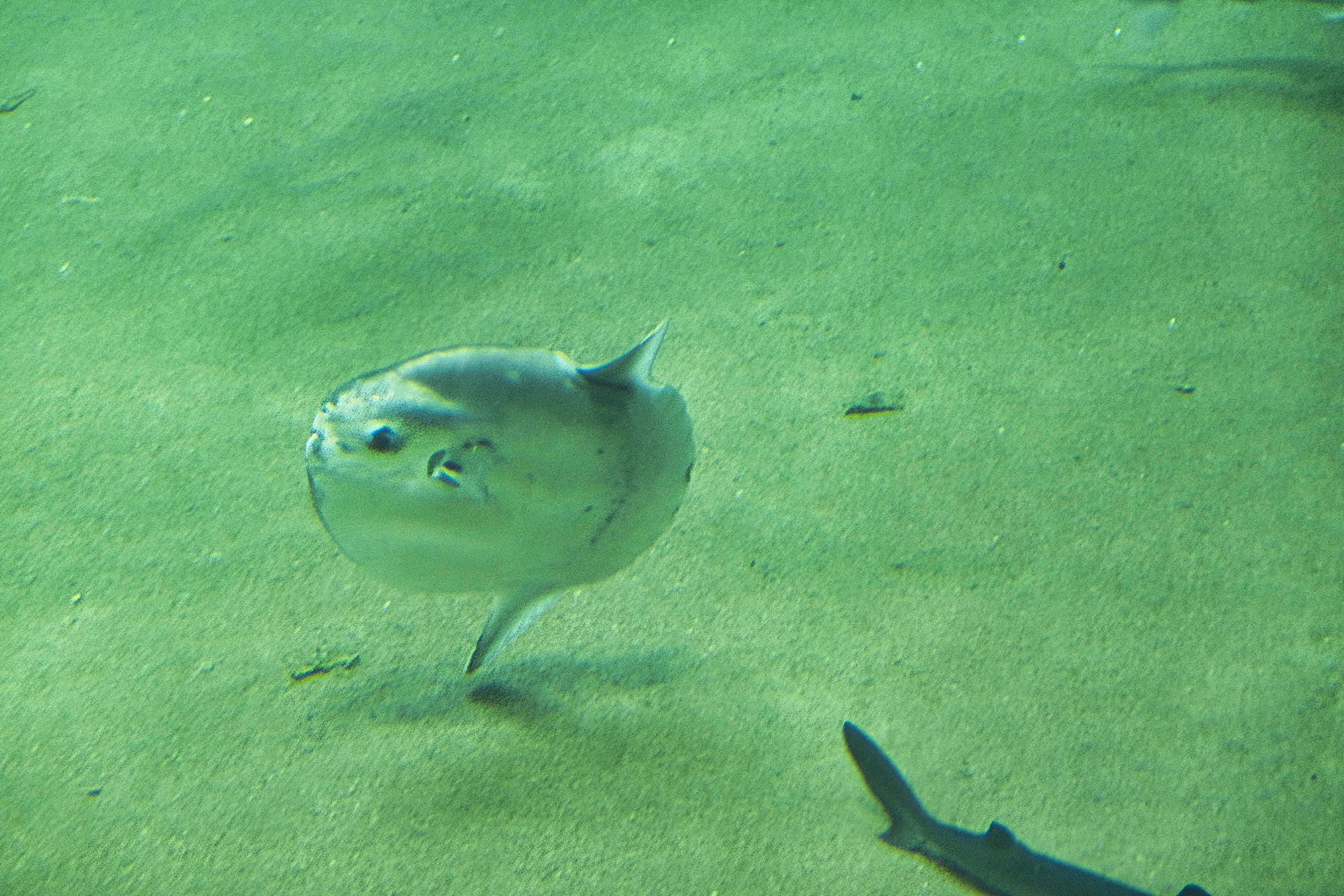 DSC01451.jpg