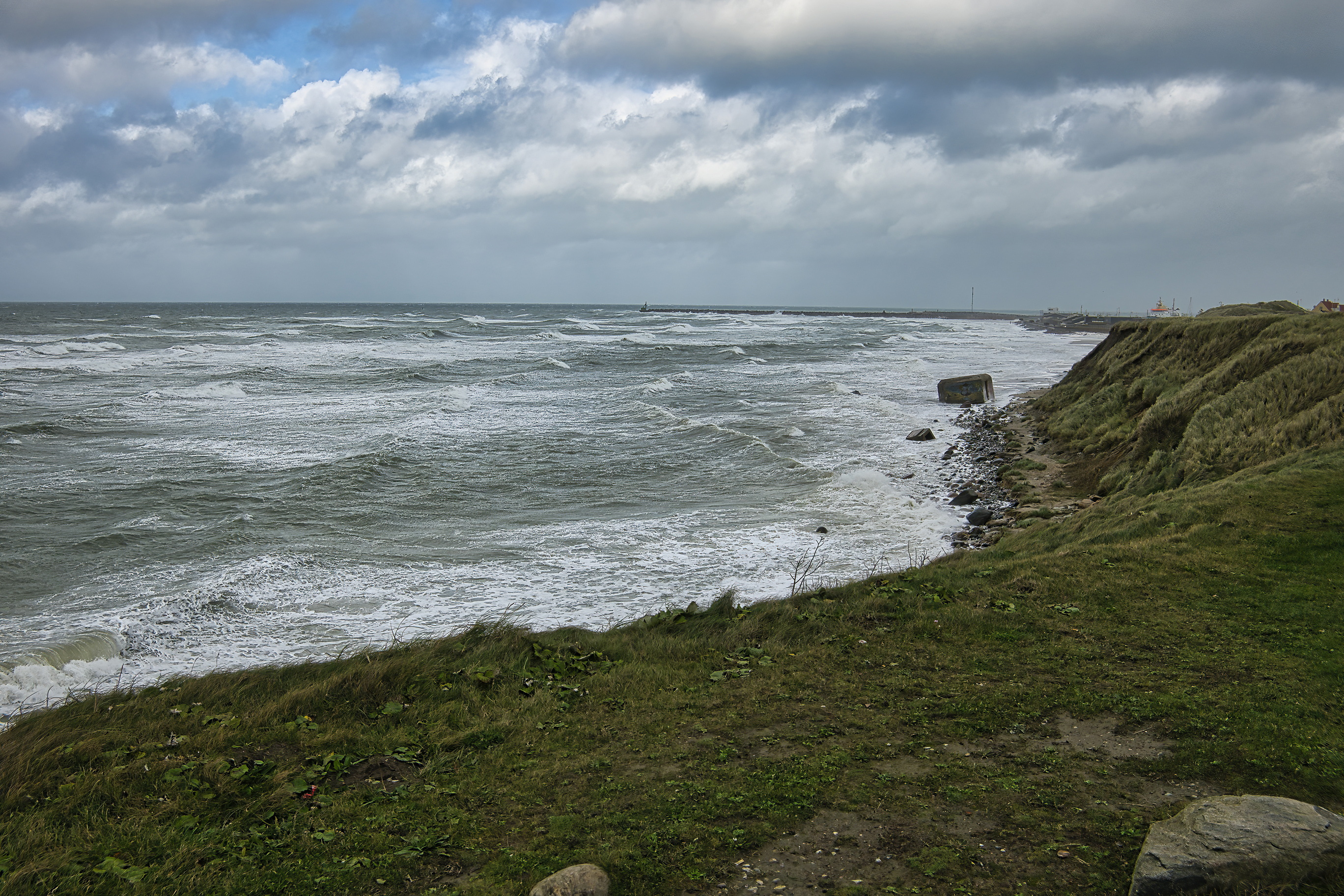 DSC01483.jpg