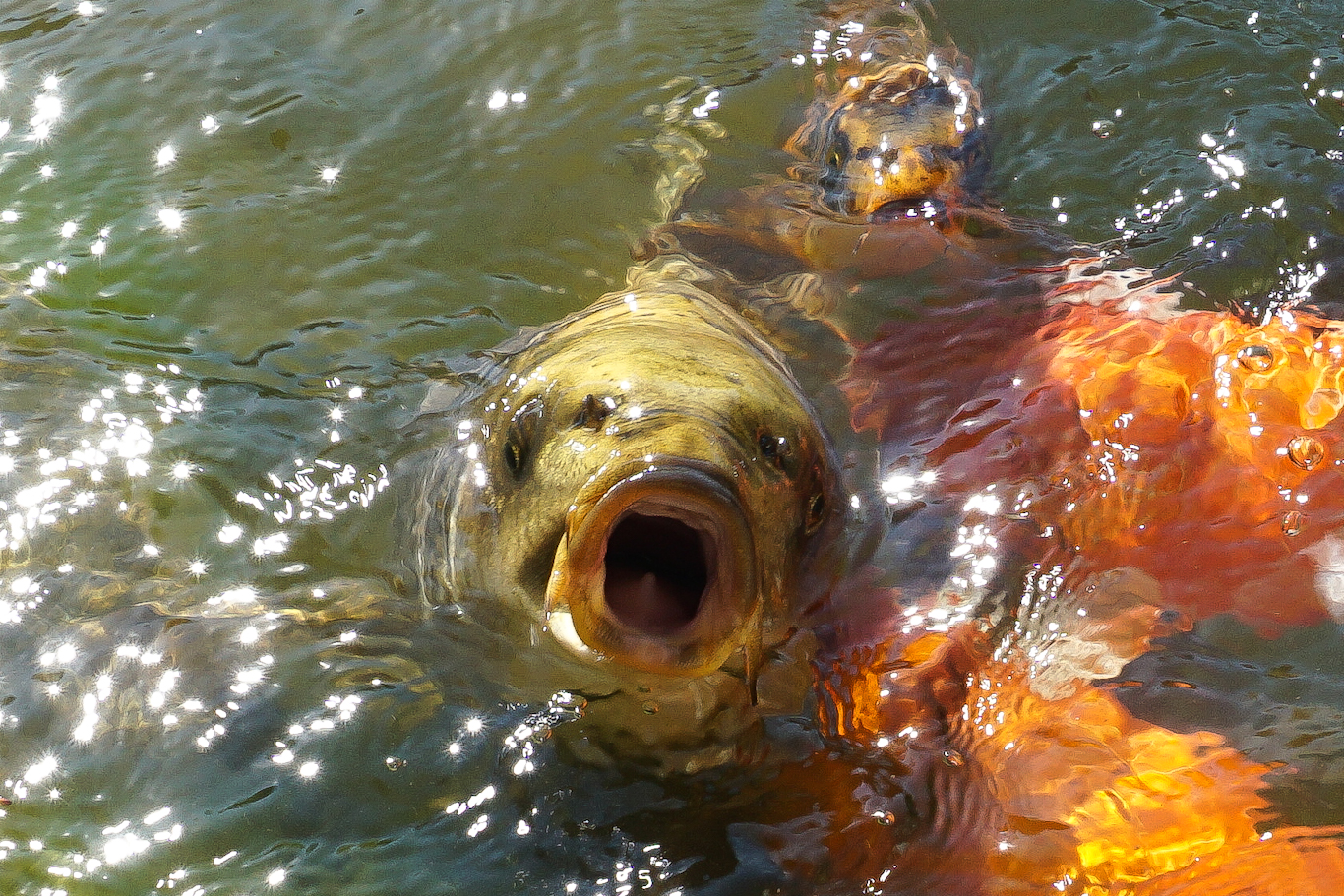 DSC02020_edited.jpg