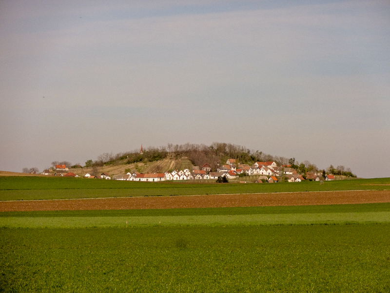 DSC03166_edited.jpg