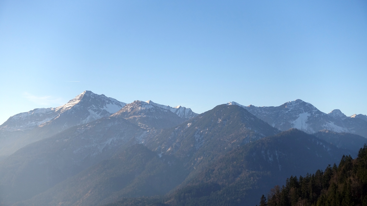 DSC03217.jpg