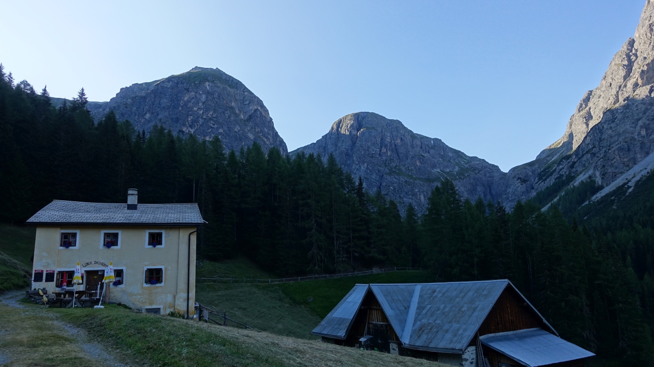 DSC03237.jpg