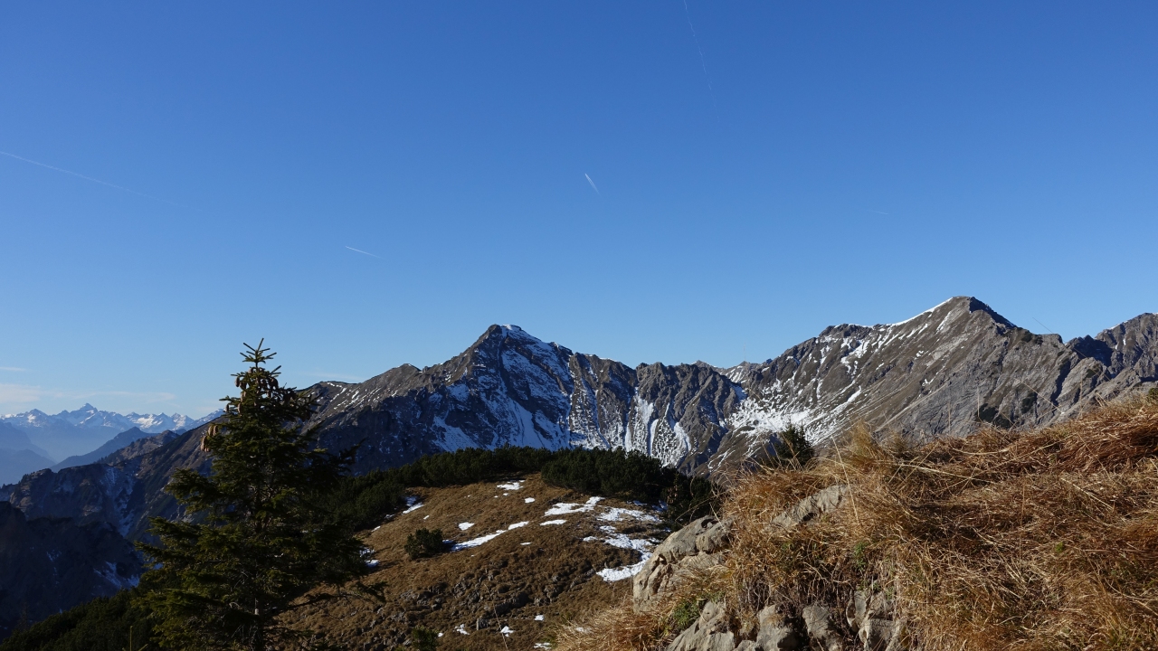 DSC03265.jpg