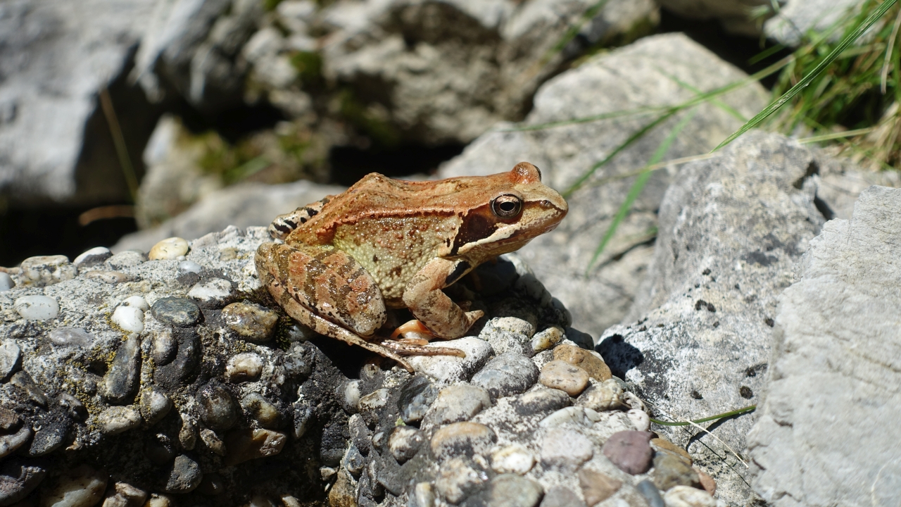 DSC03447.jpg
