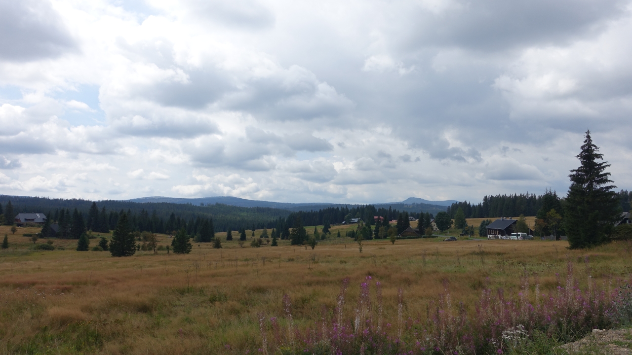 DSC03741.jpg
