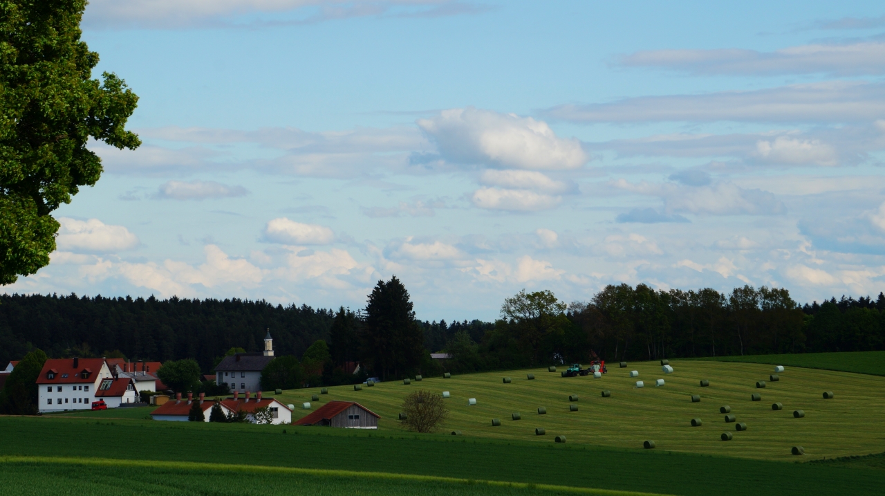 DSC04251.jpg