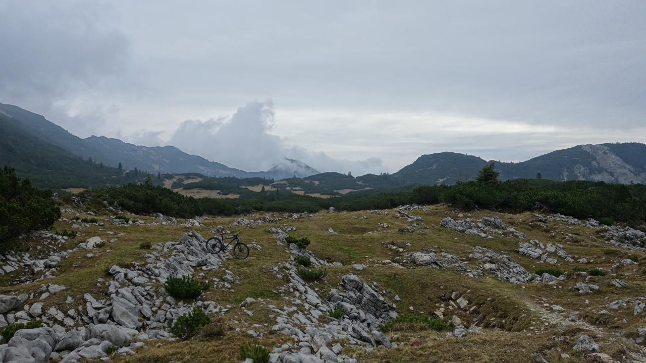 DSC04660.jpg