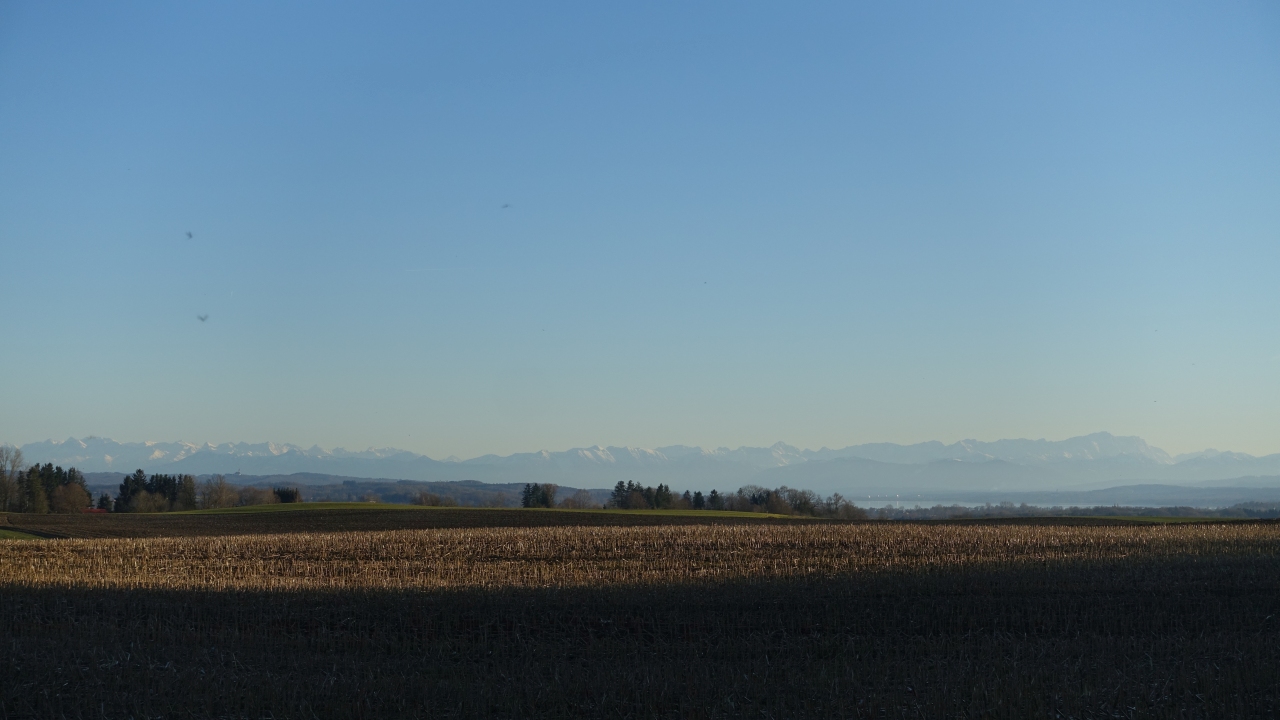 DSC04751.jpg