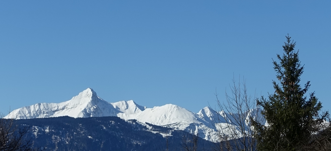 DSC04851.jpg