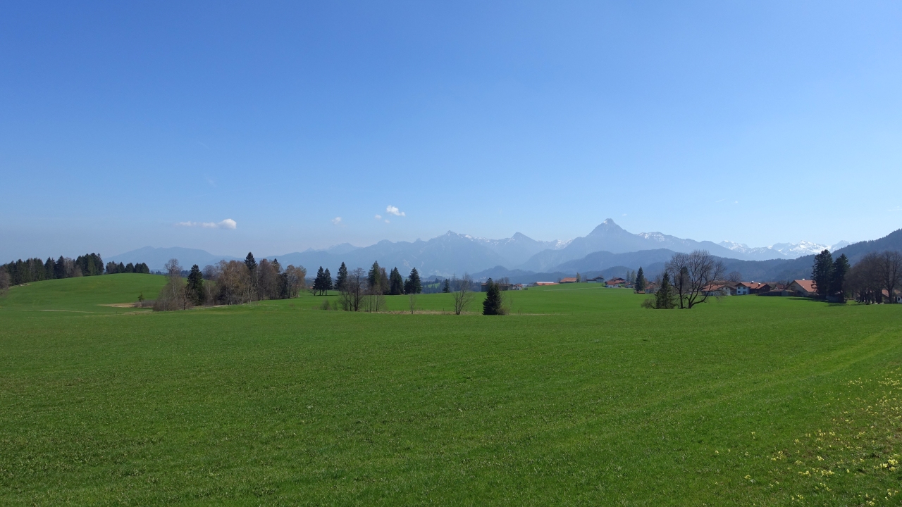 DSC05124.jpg