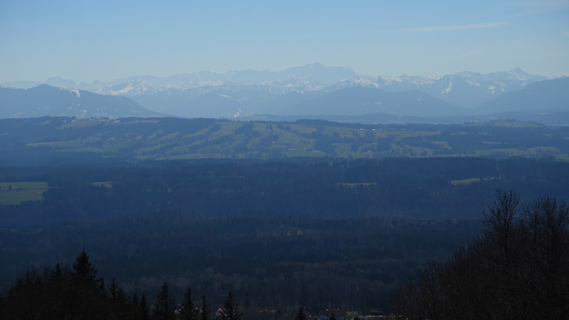 DSC06125.jpg