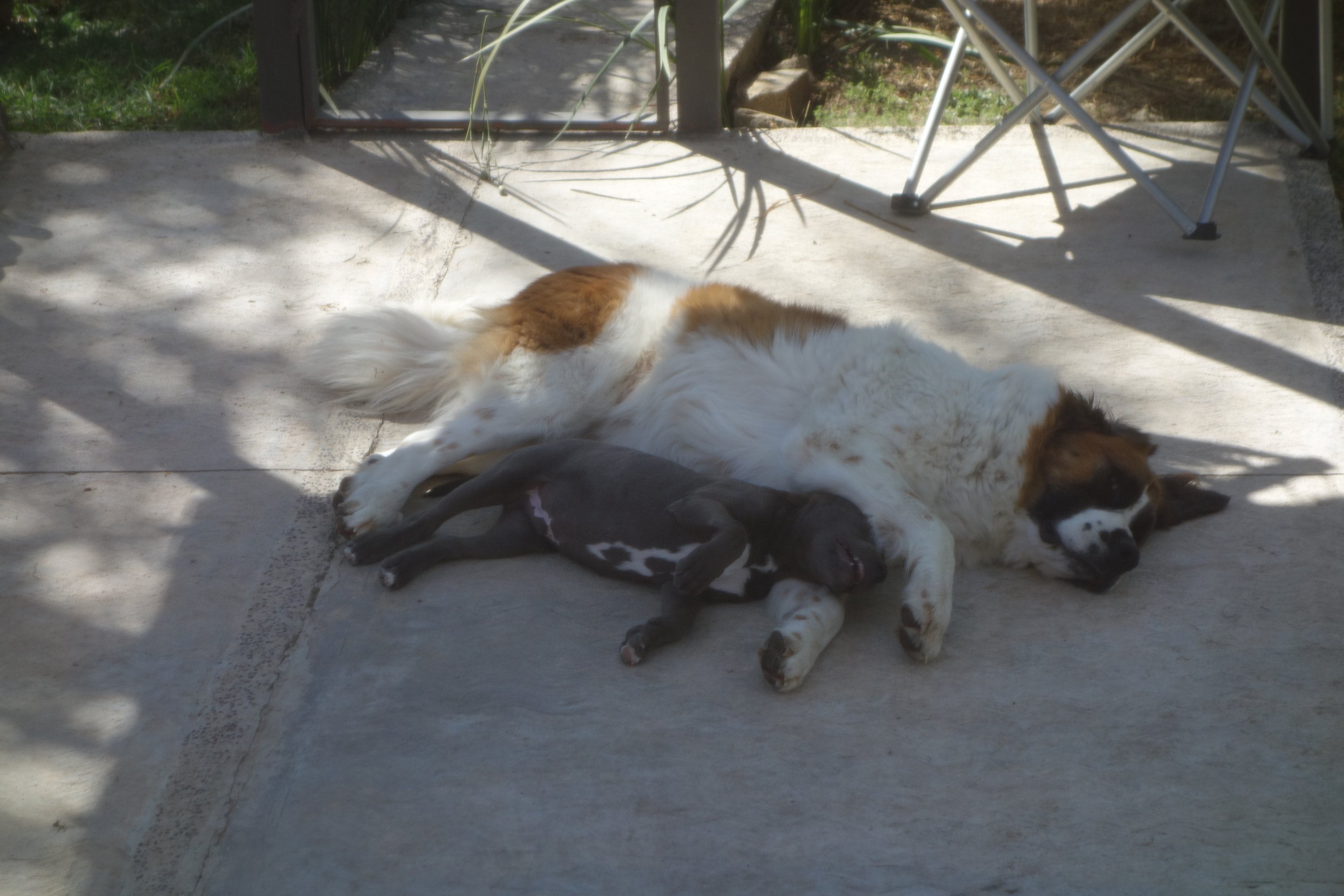 DSC06838.JPG