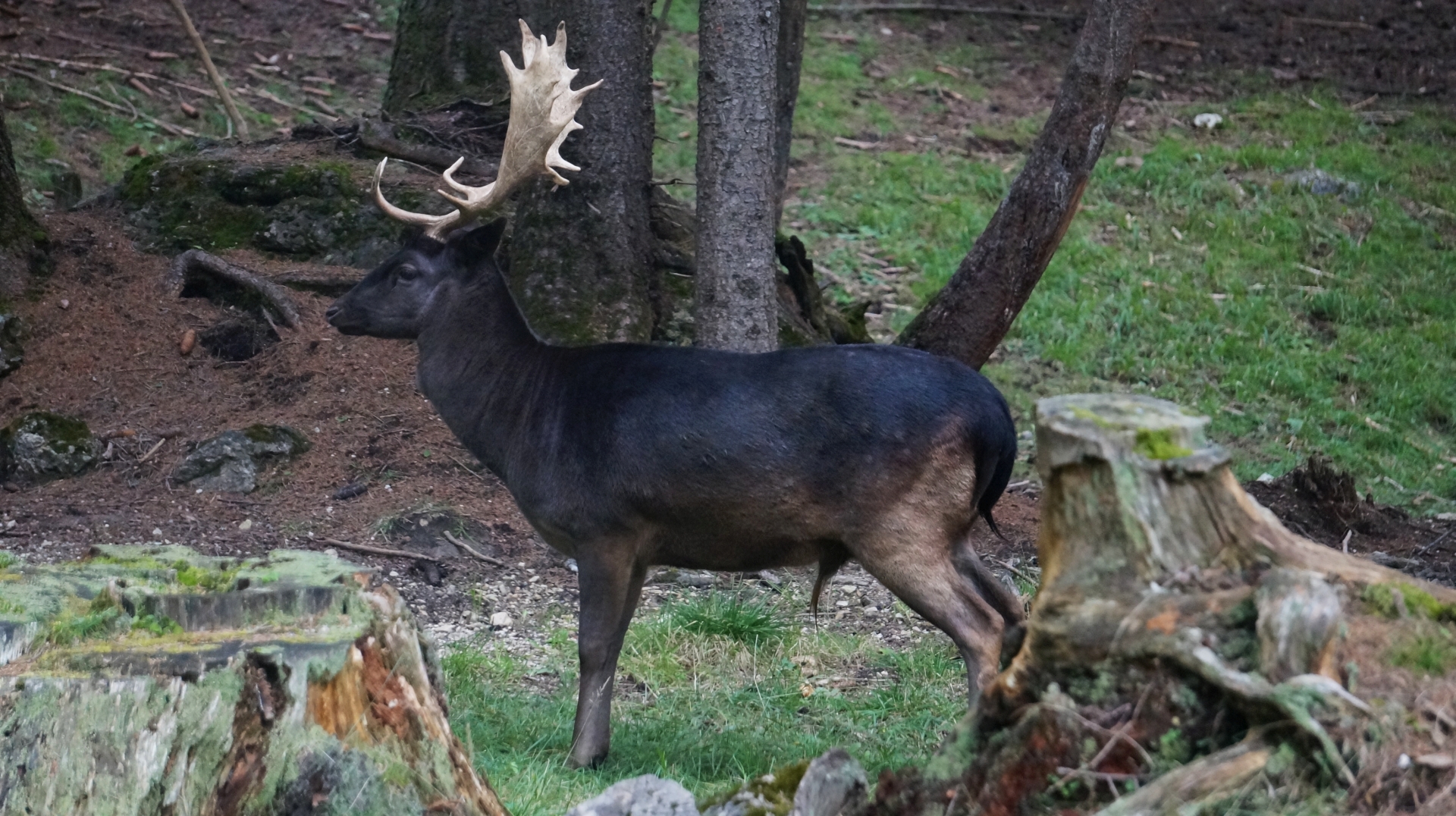 DSC08635.jpg