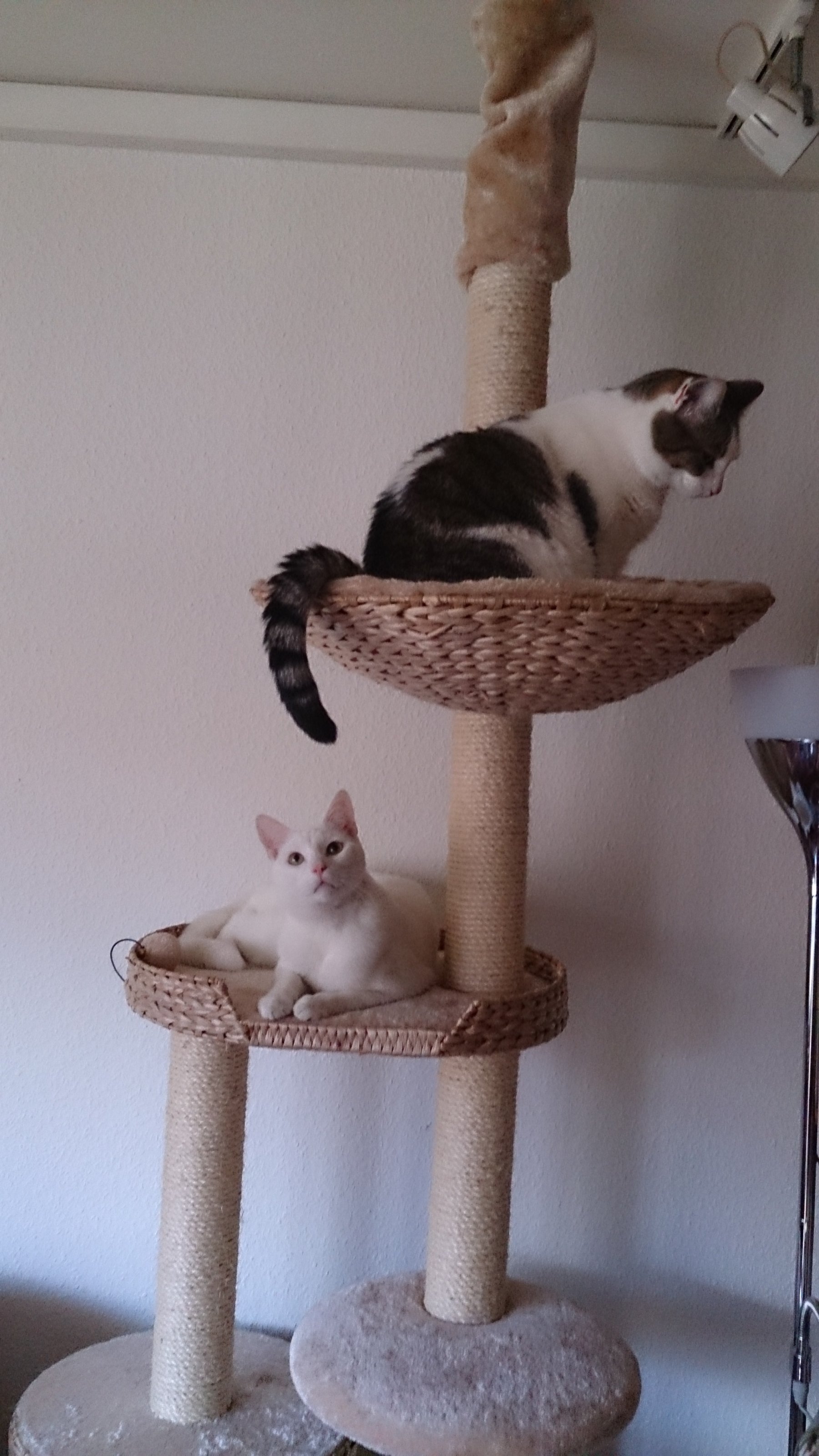 DSC_0119_1.jpeg