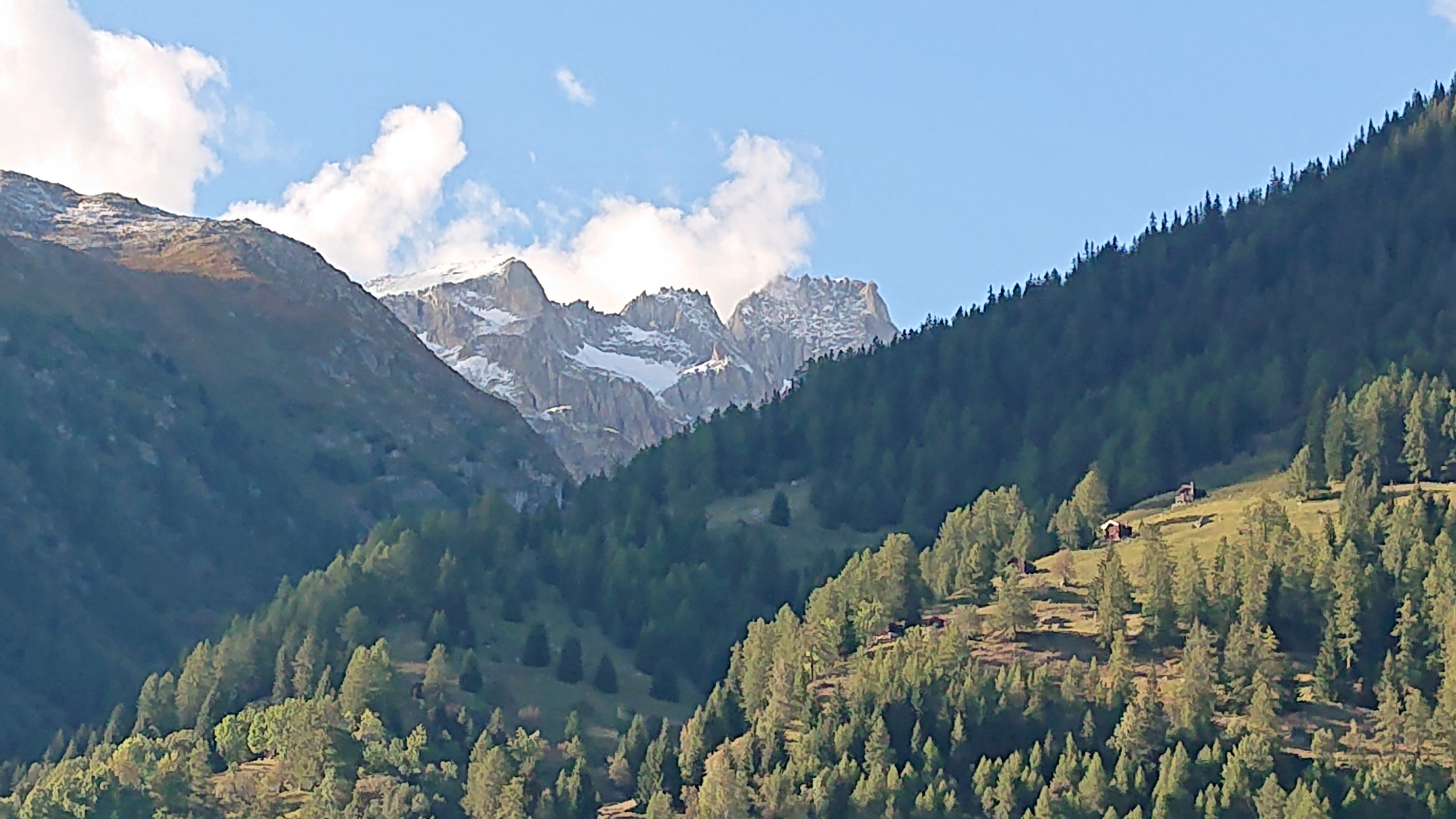DSC_0269.JPG